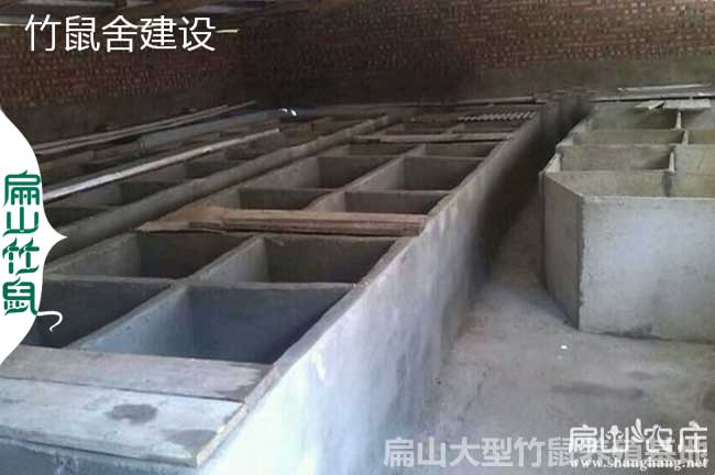 花鼠学养殖技术和种植技术