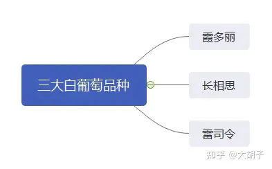Wine service trainingppt