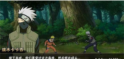 I've had some experience with the ninja