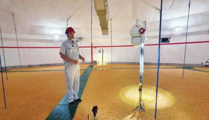 Sharing of knowledge, bugs