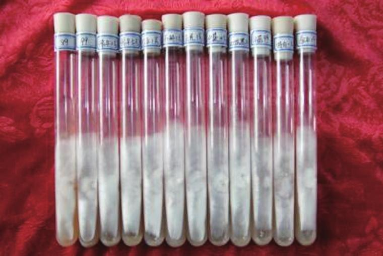 Wood farming techniques