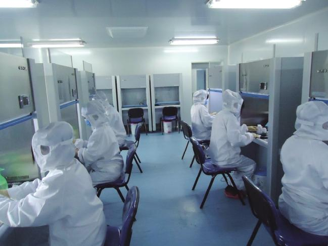 Wood farming techniques