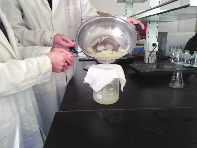 Wood farming techniques