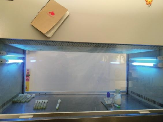 Wood farming techniques