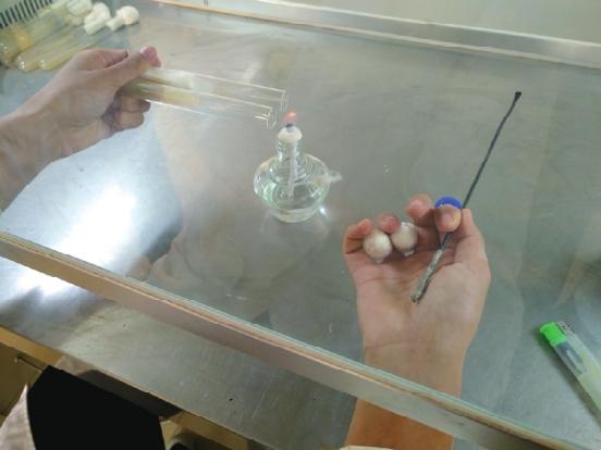 Wood farming techniques