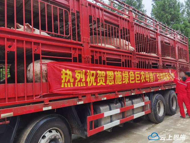 朝天辣椒种植技术