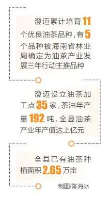 海南山茶油树种植技术