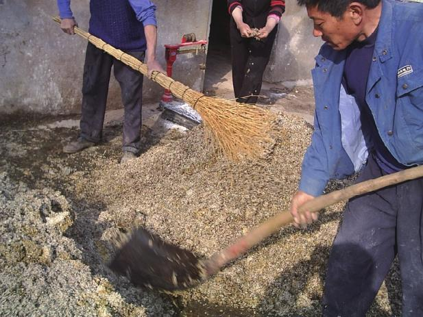 Wood farming techniques