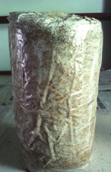 Wood farming techniques