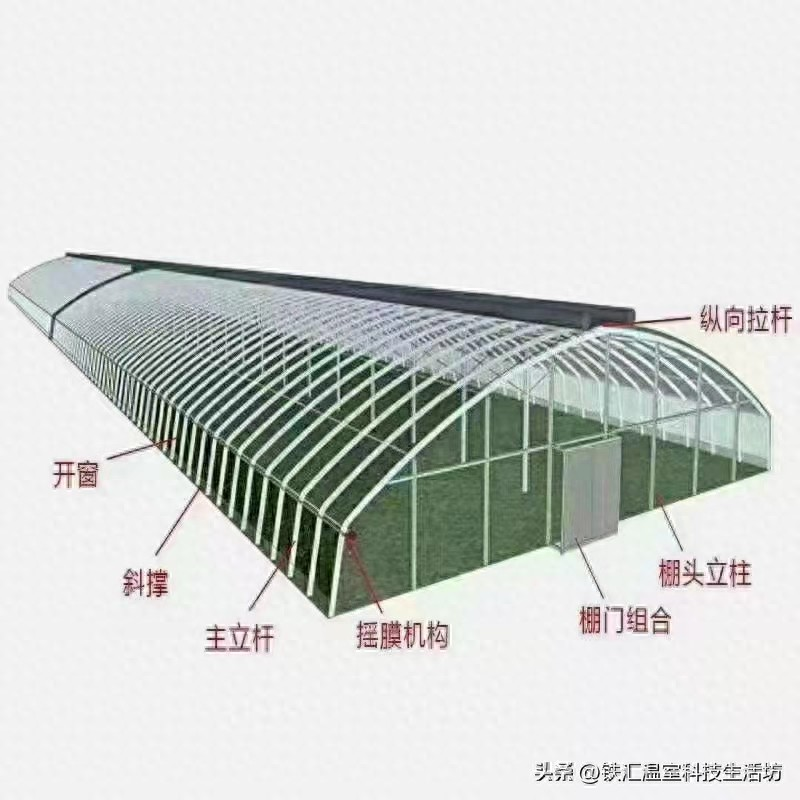 适应大棚种植的新品种果树