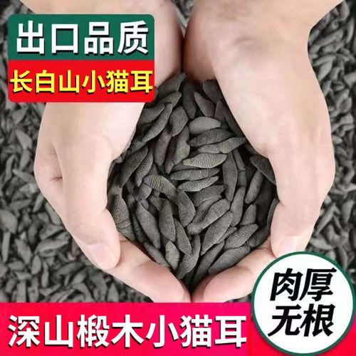 木耳的种植技术