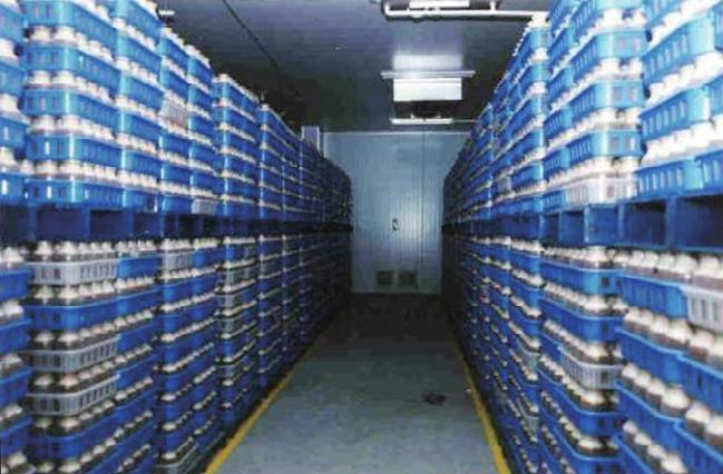 Wood farming techniques