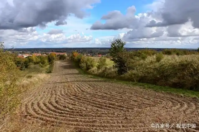 Plantation techniques