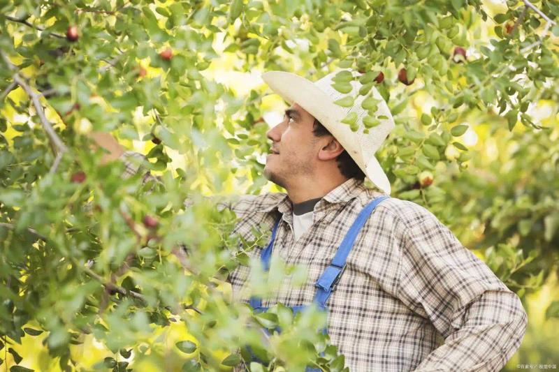 Tree cultivation methods