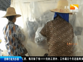 Wood farming techniques