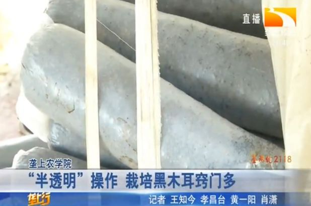 Wood farming techniques