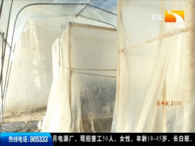 Wood farming techniques