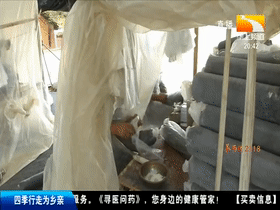 Wood farming techniques