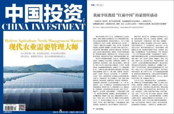 北方黄秋葵的种植方法