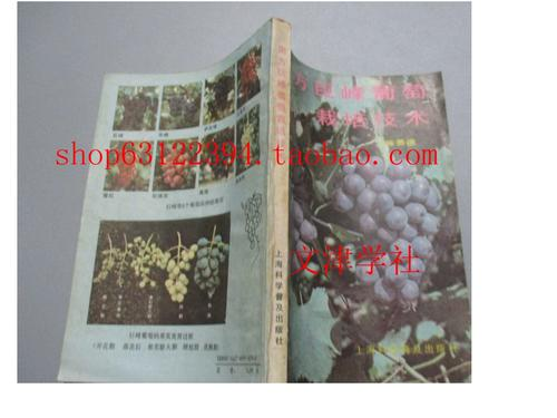 Great peak grape cultivation technology