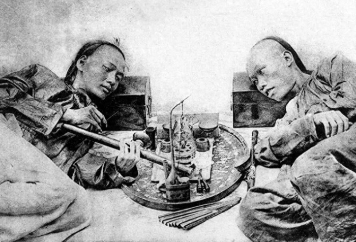 鸦片怎么种植方法