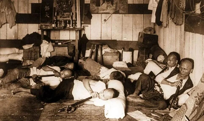 鸦片怎么种植方法