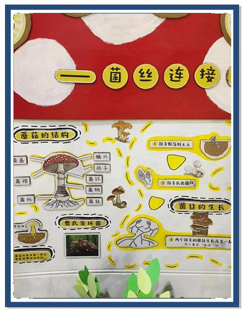 家庭蘑菇种植方法