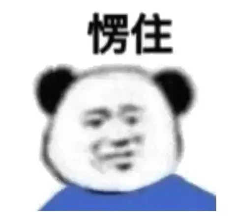 Mango planting plant