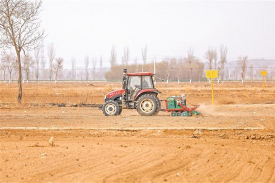 Mechanized planting techniques