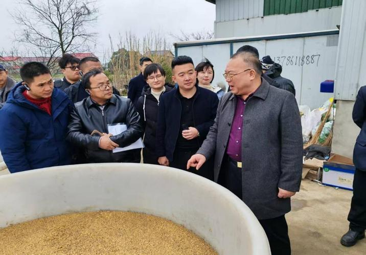 机械化种植技术