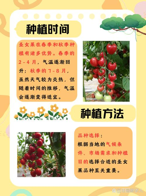 The method of planting the fruit of the red goddess