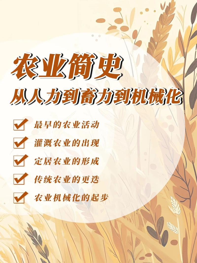 邯郸市网站优化