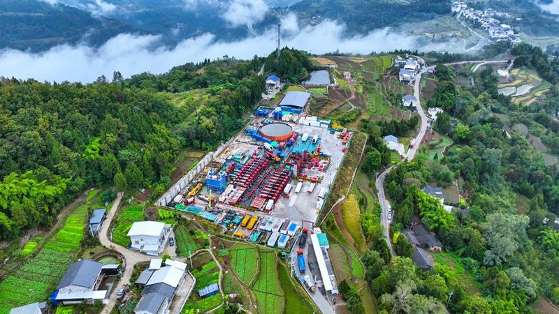 中药材桔梗种植技术