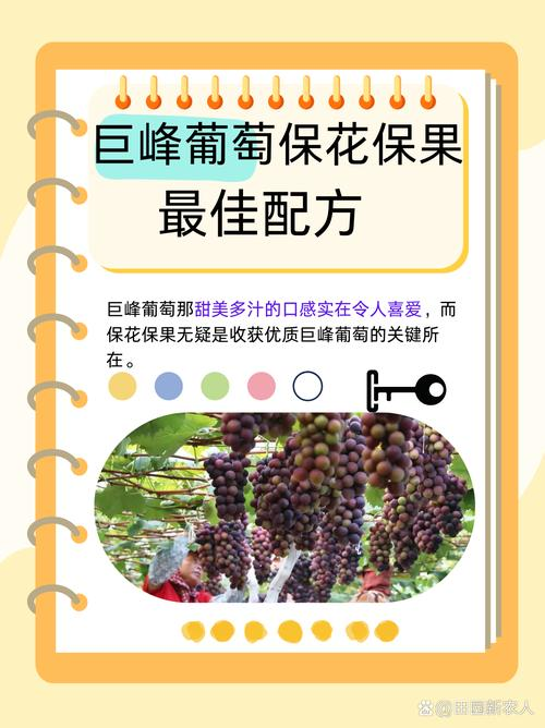 Great peak grape cultivation technology