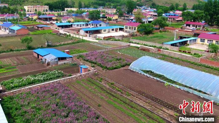 Chinese medicine orange infarction techniques