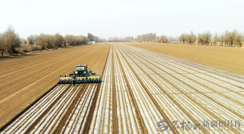 机械化种植技术