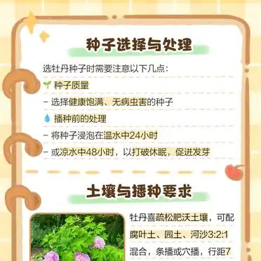 牡丹花种植技术