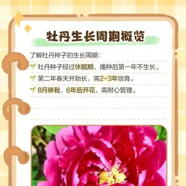 牡丹花种植技术