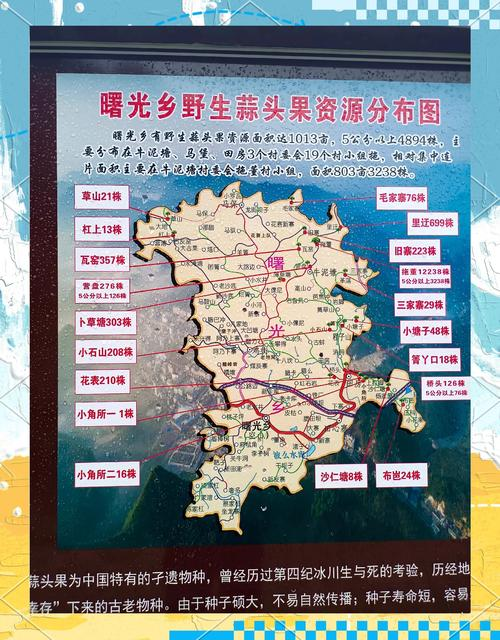 福建水果种植分部