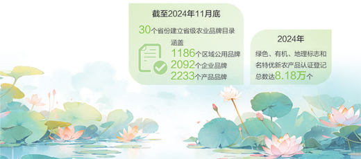 Technology for the planting of quillin, thailand