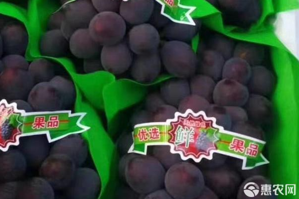 Great peak grape cultivation technology