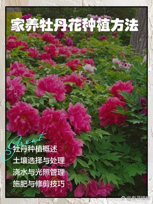 Pyramid gardening techniques