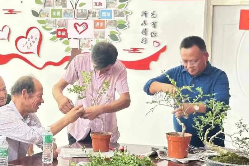 A picture of the cut step of the yangtze park