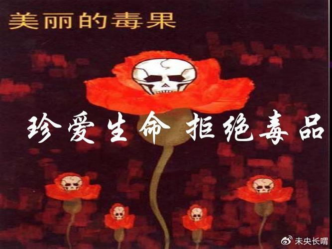 鸦片怎么种植方法