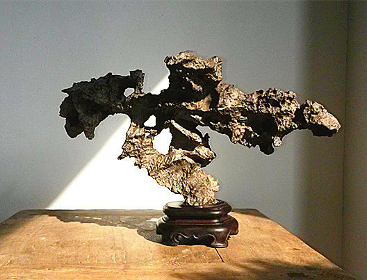 文玩盆景成收藏界新贵