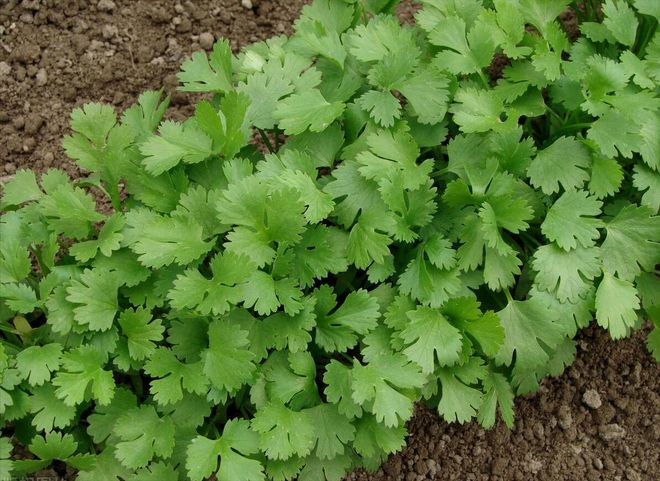 Apprenticeship methods and timing