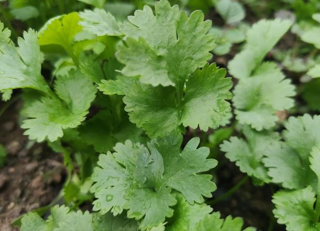 Apprenticeship methods and timing