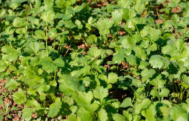 Apprenticeship methods and timing