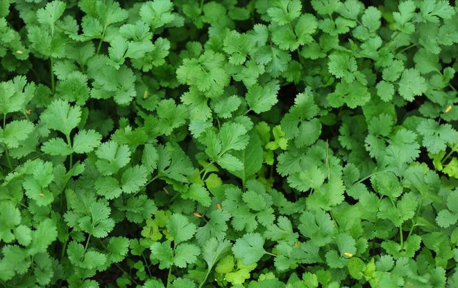 Apprenticeship methods and timing