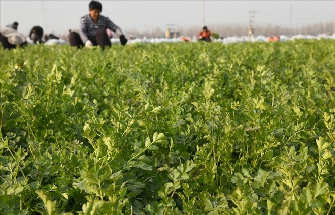 Apprenticeship methods and timing